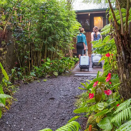 Volcano Village Lodge-3